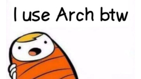 My problem with Arch Linux